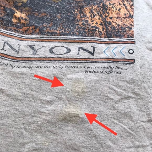 Grand Canyon Souvenir T-shirt Vintage 90s Single Stitch Distressed Top - Picture 2 of 10